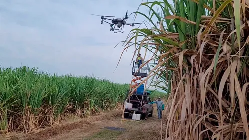 Drones-para-mejorar-riego-en-cultivos-de-cana1