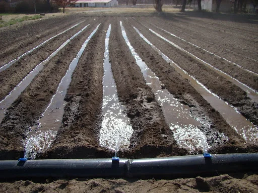 Tecnificación 5 (4) (1) (1)