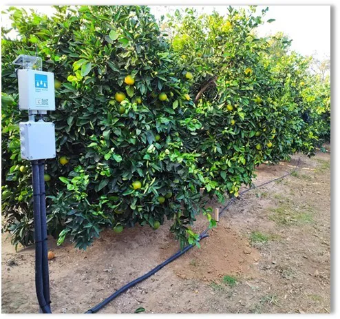 sondas-dataloguer-foto-irta