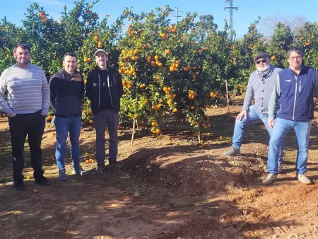 Nuevo-Proyecto-citricos