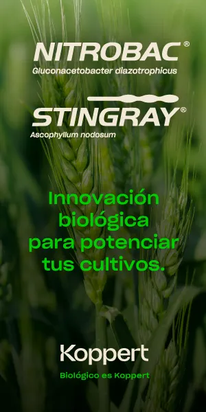 91610eab2d590fbe3d1b1a8bc3eb1ccf