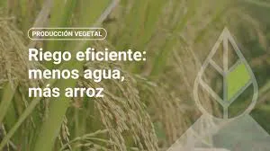sr-menos agua