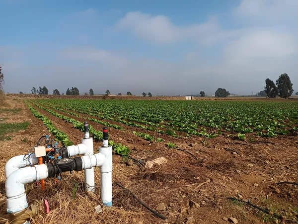 IMG_20230511_132631139 (3) (1) (1) (1)