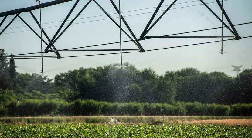 riego-aspersion-fotos-