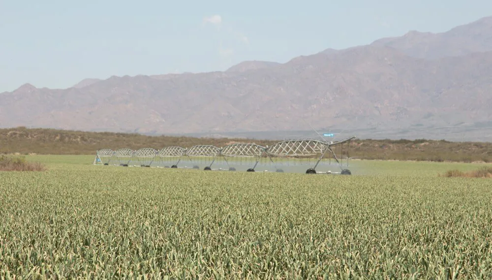 riego-mendoza-valley