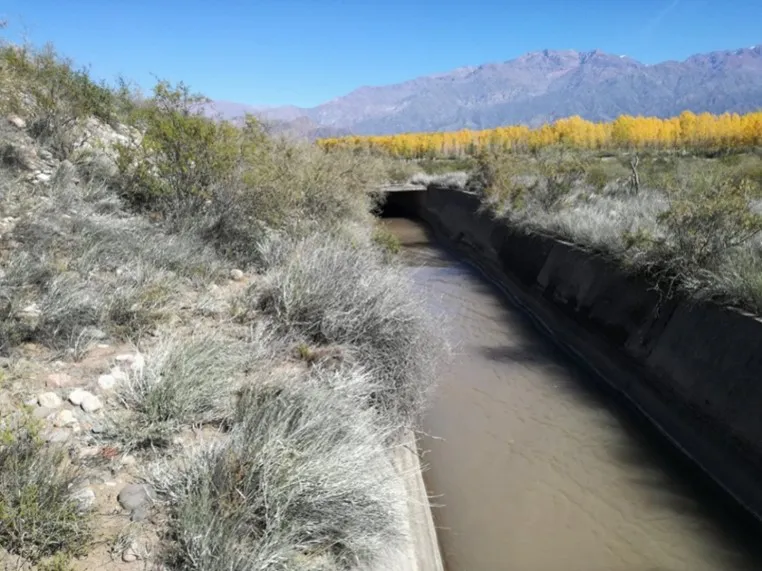 Canala-Matriz-Valle-de-Uco