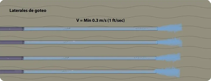 Number-4.-Flushing-Regime-3-1-1
