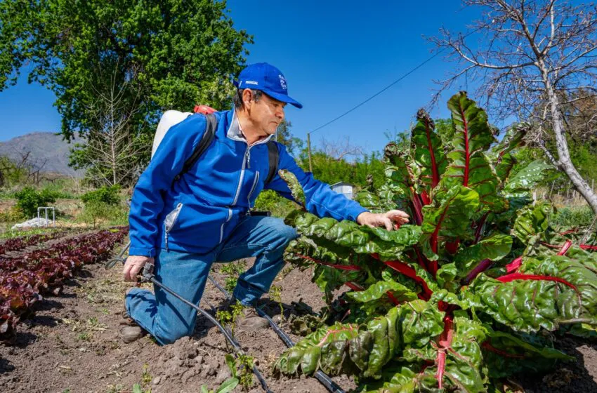 Riego-tecnificado-3-850x560