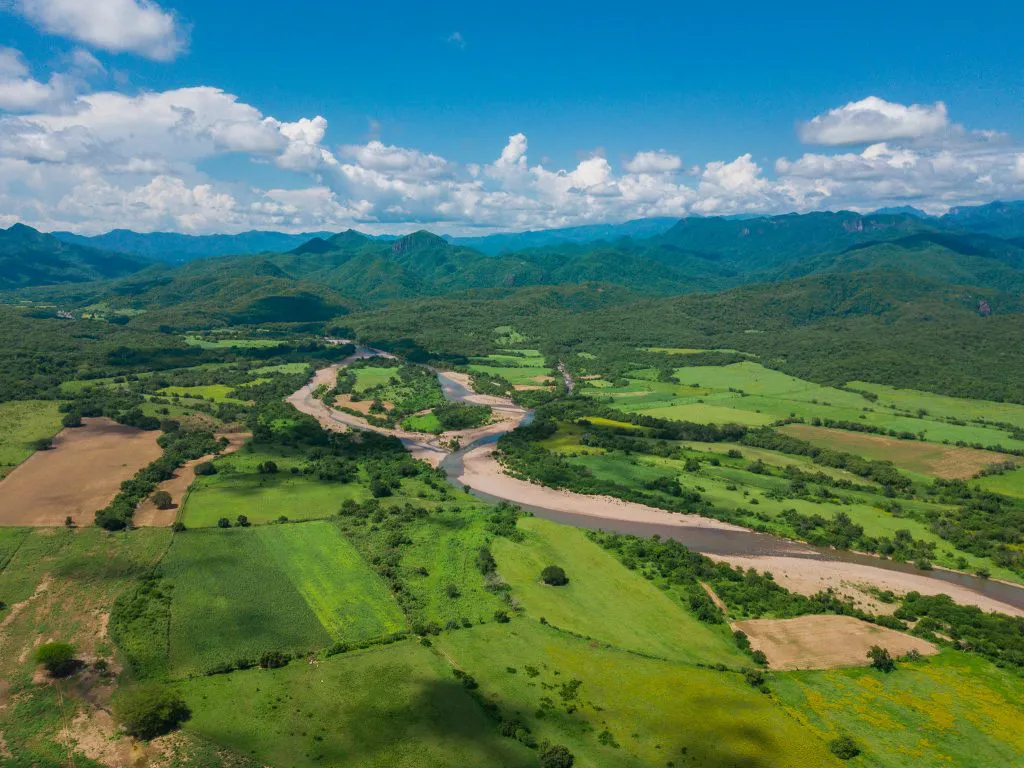 Campo-sinaloense-Conselva