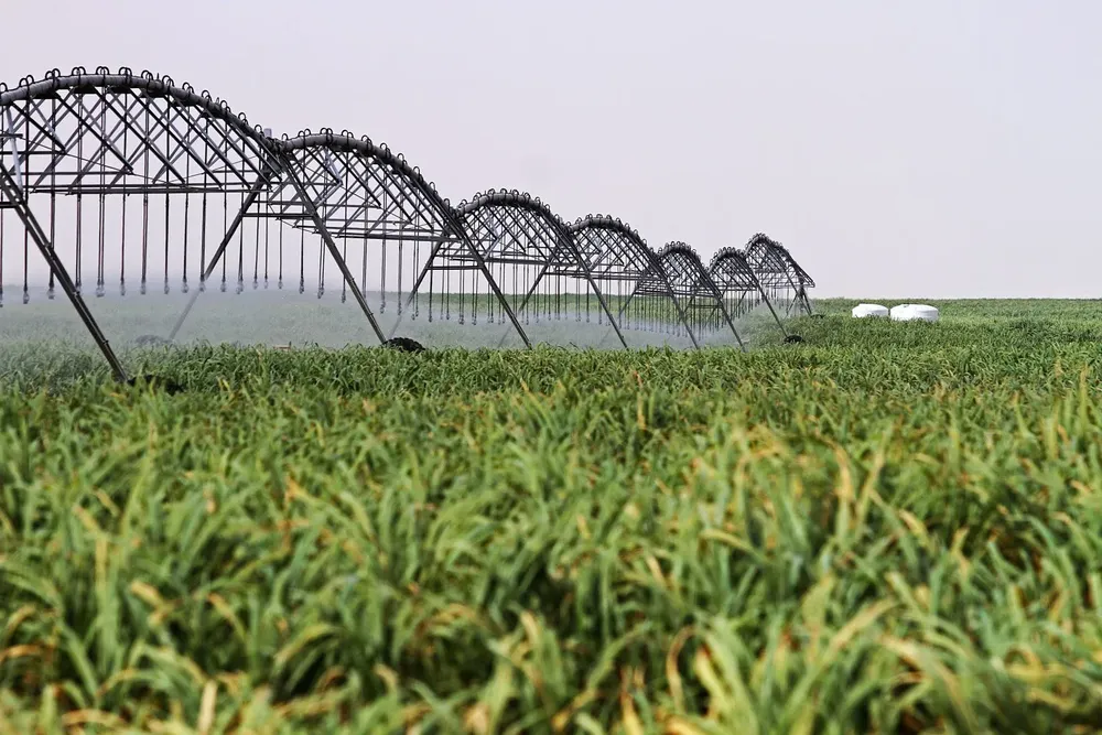 Agua-H2Olmos-2-1536x1024