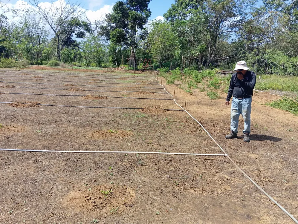 capacitacion-colon-4