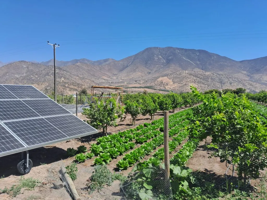 Paneles-fotovoltaicos-alimentan-el-riego-de-frutales-1024x768