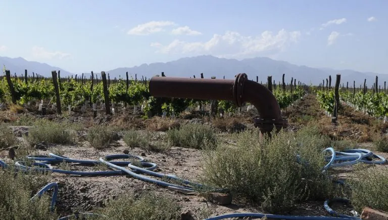 f768x1-1634337_1634464_5050