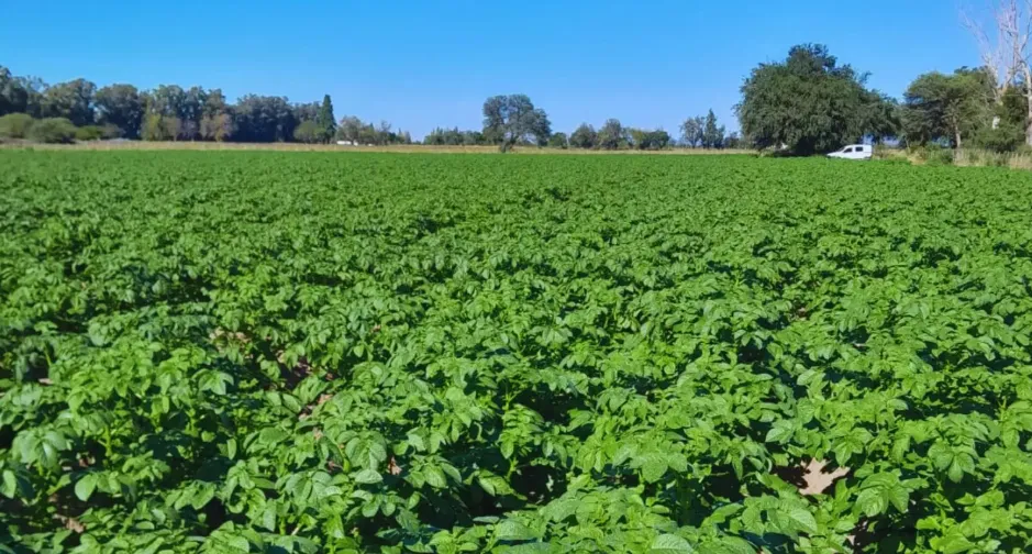 mr-papa traslasierra