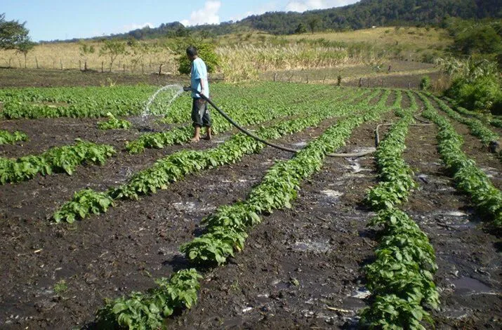 WhatsApp-Image-2025-11-09-at-9.13.19-PM-715x470