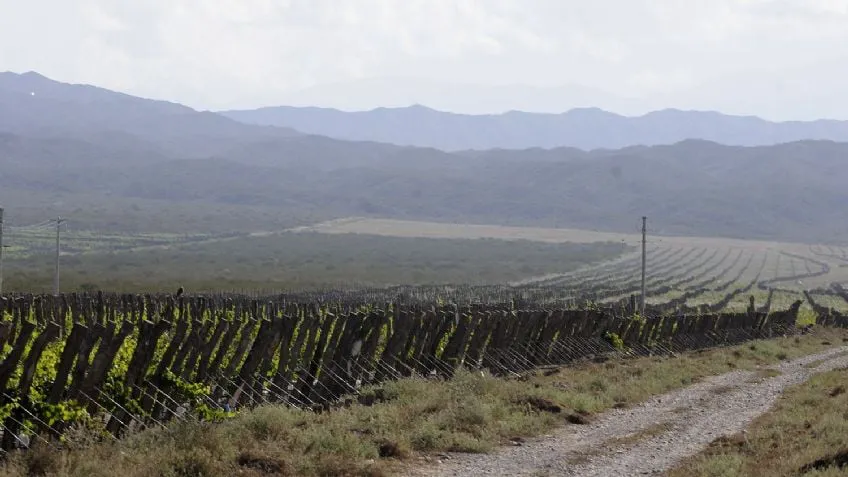 f848x477-1634338_1692141_5050