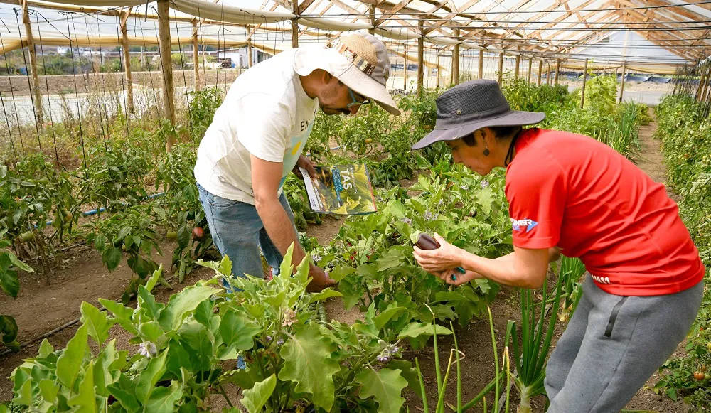 piloto-posinversion-riego-tecnificado-1