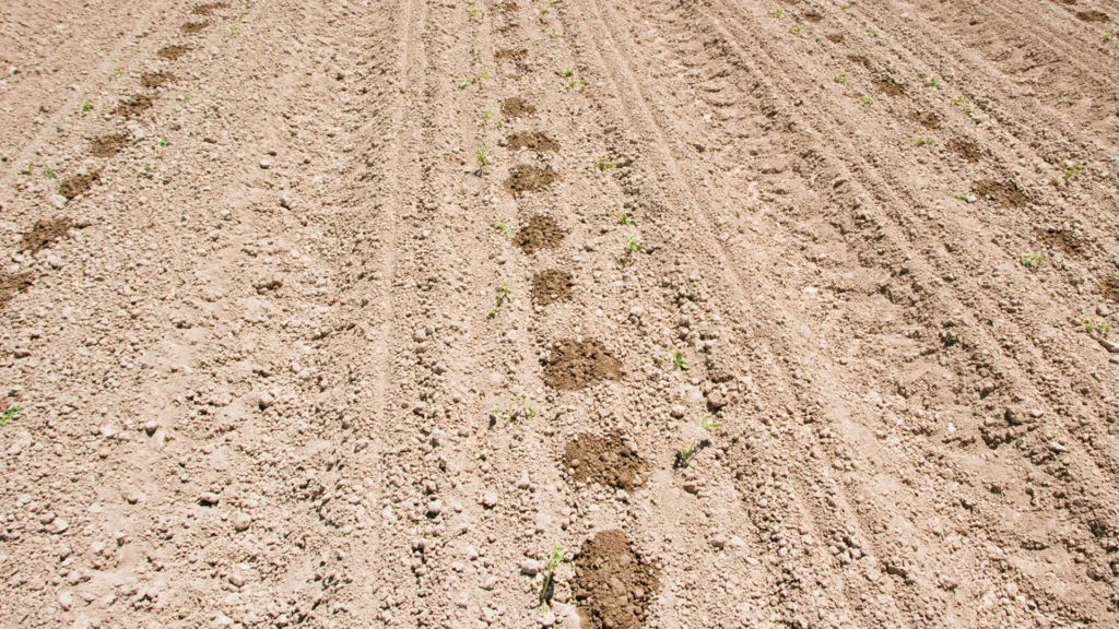 Blog1_Intext_1920x1080-1024x576