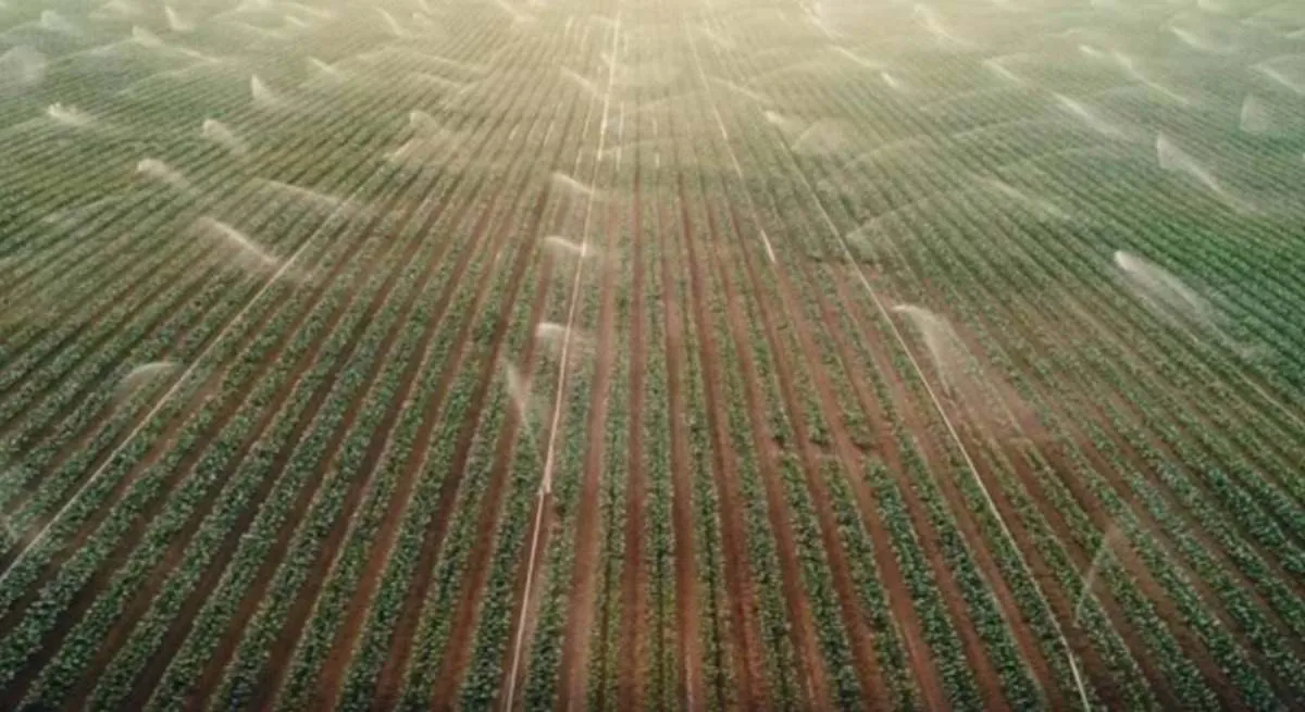 mr-riegoagriculturaawsaragon