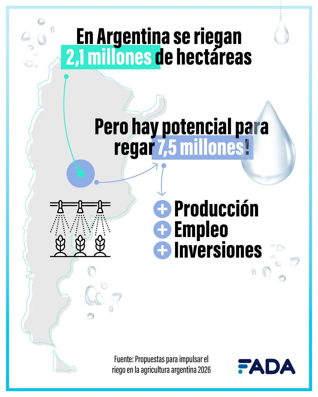 WhatsApp Image 2026-03-04 at 11.31.40