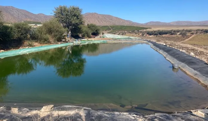 Con-miras-al-2025-INDAP-tiene-abierto-concurso-Operacion-Temprana-de-su-Programa-de-Riego-Asociativo-696x406