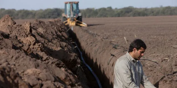 Rivulis_plataforma_educativa