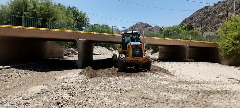 55037772450_e5bc15a704_c