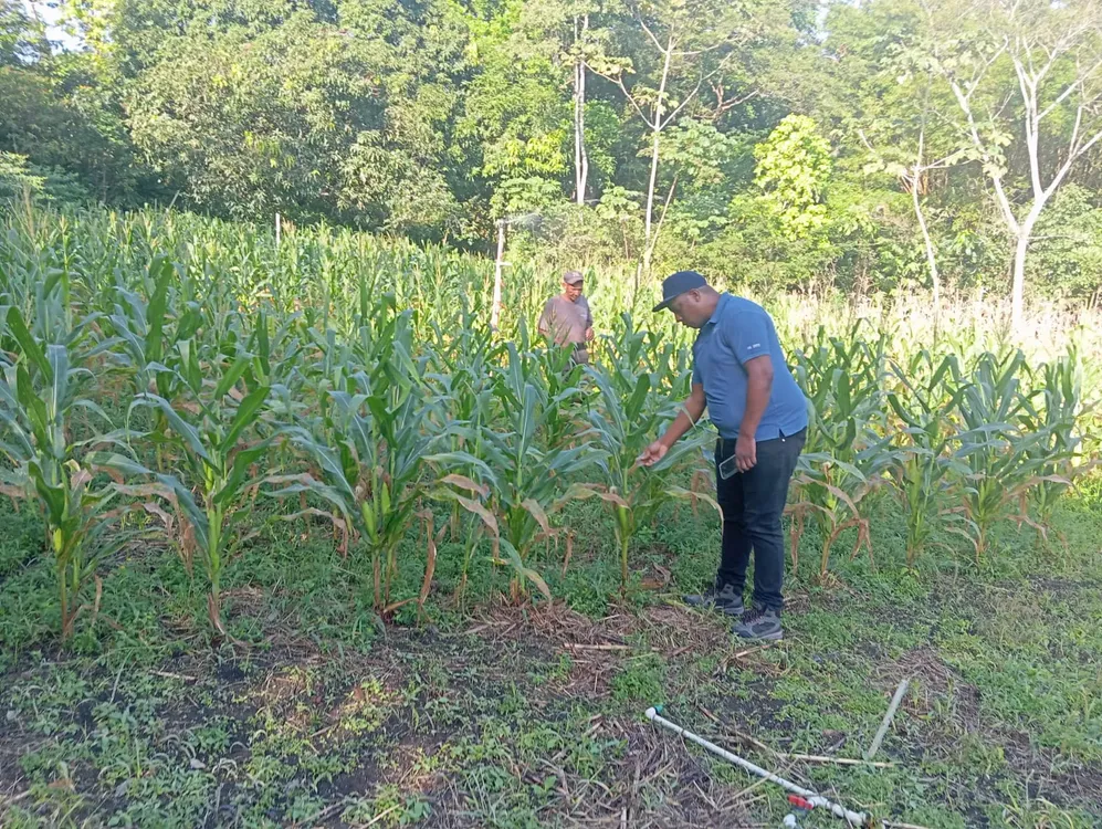 capacitacion-colon-3