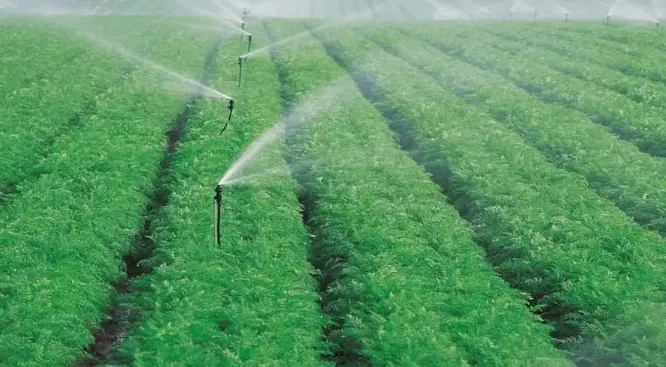 Ejemplo aspersor Mamkad 16