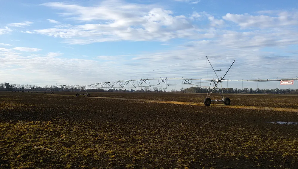 Foto-riego-complementario