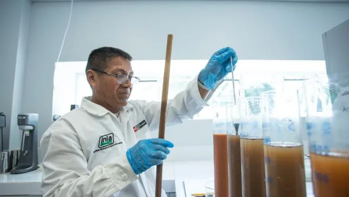 1010160-whatsapp-image-2024-08-26-at-14-57-43-3