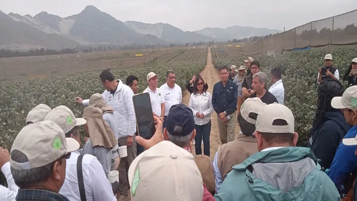 1008904-e-irrigacion-2