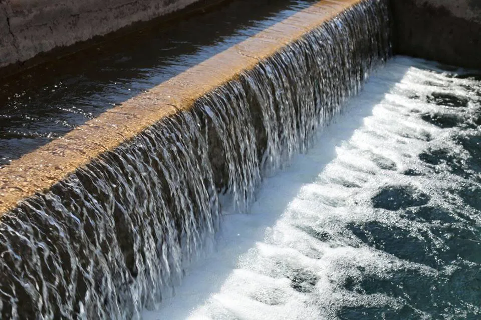 Expo-agua-2024-en-el-Multiespacio-Cultural