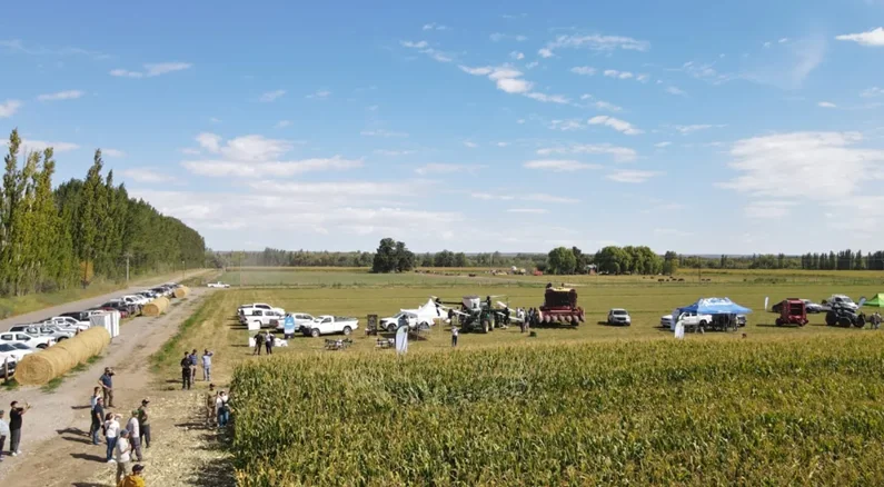 MR-rio negro cervantes pili