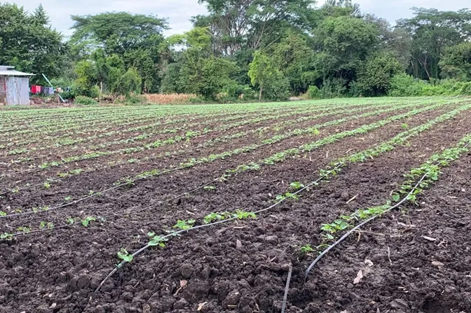 sagfebrero1726-1600x1066