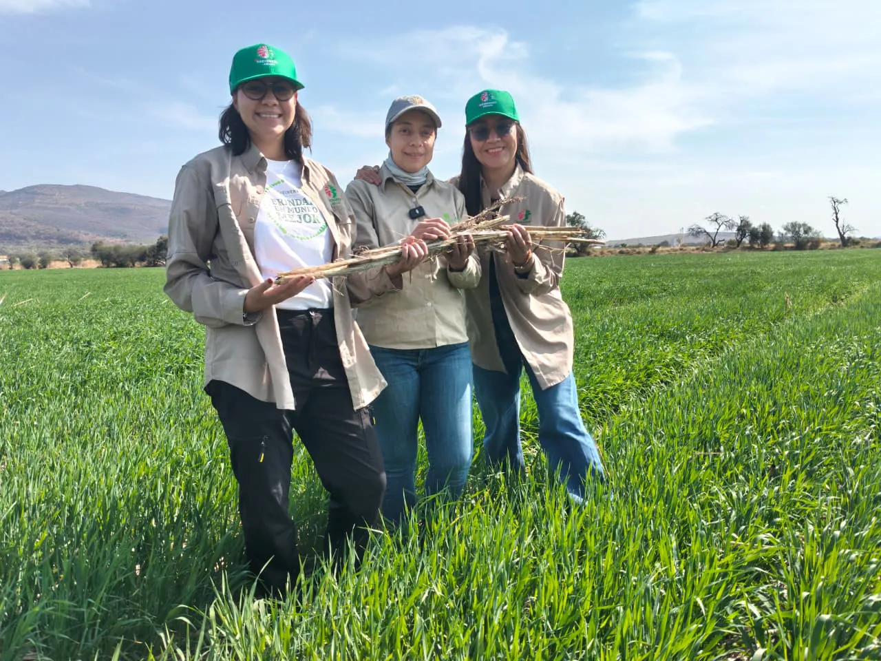 WhatsApp-Image-2026-01-26-at-1.29.45-PM