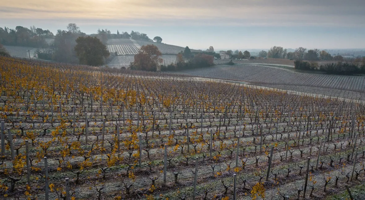 adobestock_562046938