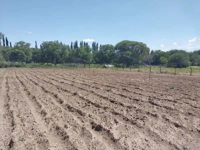 SR-ENERGIAS RENOVABLES