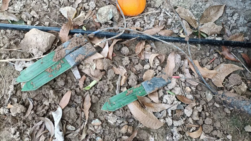 sondas-fdr-foto-irta