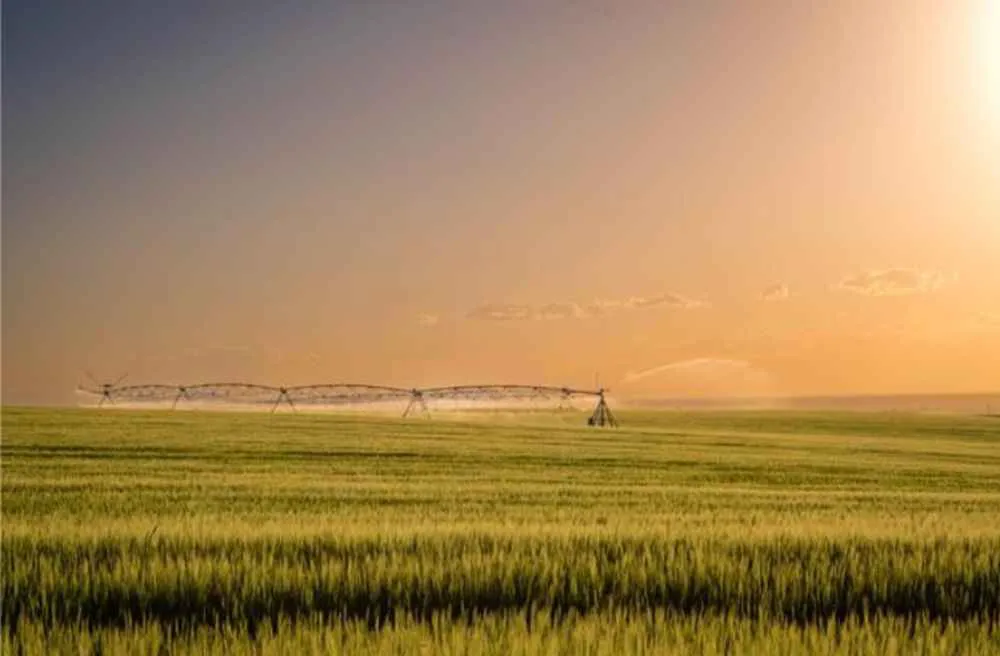 Innovations-in-fertigation