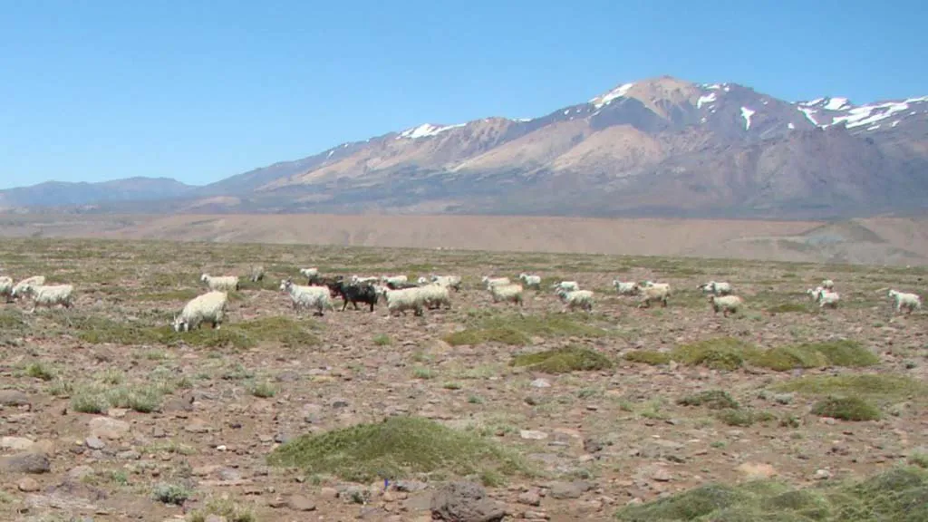 Sequiapatagoniaportada