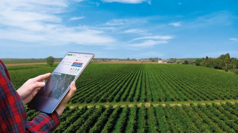 Irritec-e1739266346539