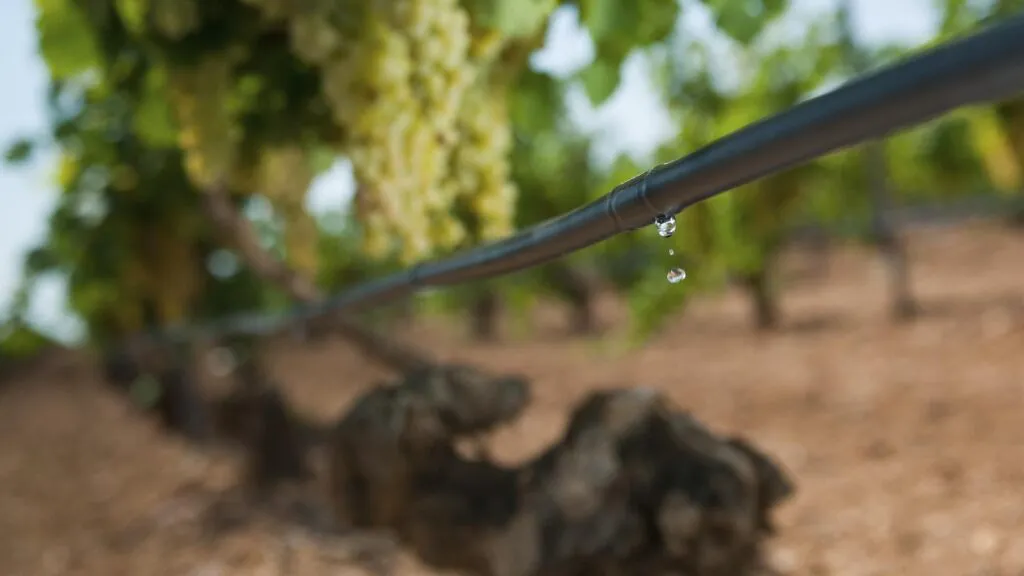 Rivulis_Frente a la sequía