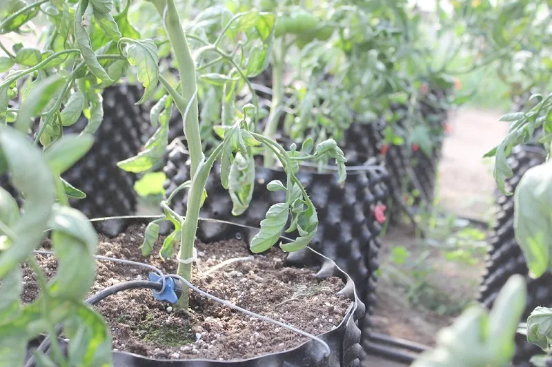 h6bc75c55894766306ed7