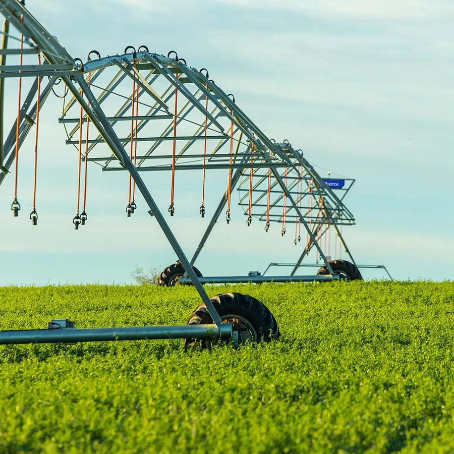 GALAMB AGRO PIERCE 2