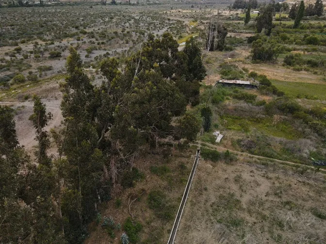 Canal Mincha Sur Arriba