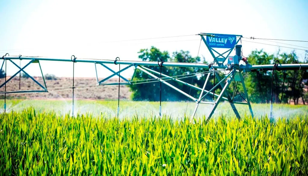 center-pivot_corn_33121_8385