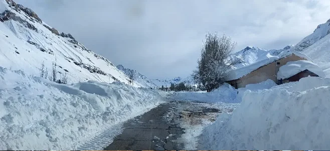 mr-nevada