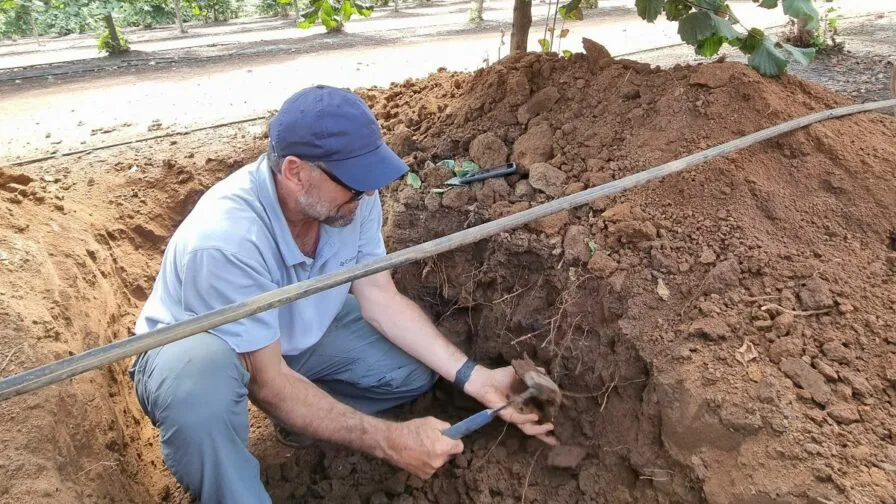 WhatsApp-Image-2024-08-13-at-3.54.40-PM-896x504