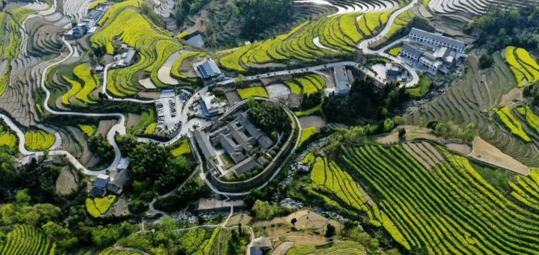 f84fa0ed8a254ba68d46ef2df8c289f8-e1725388071400